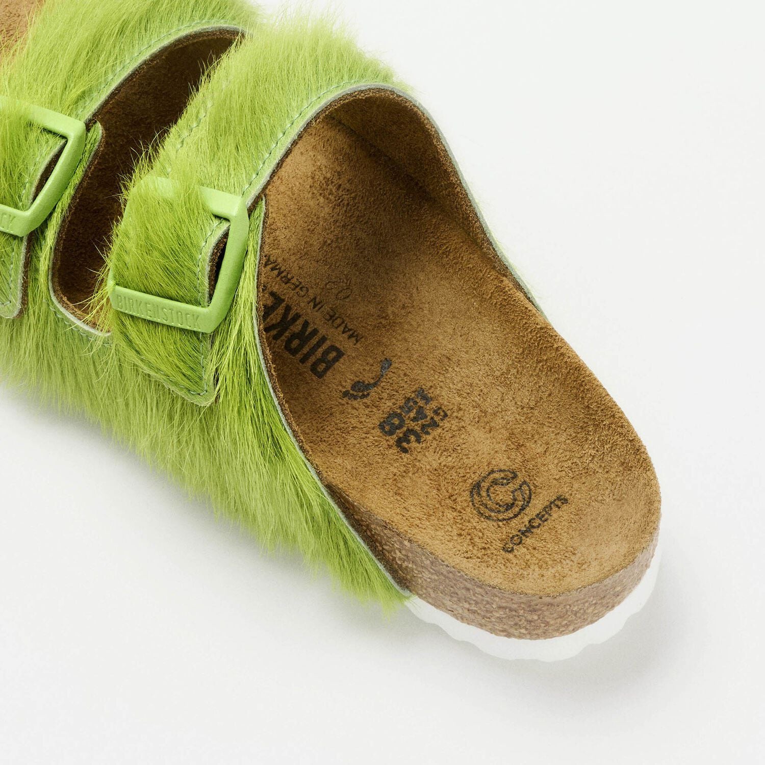 Concepts Arizona Fur