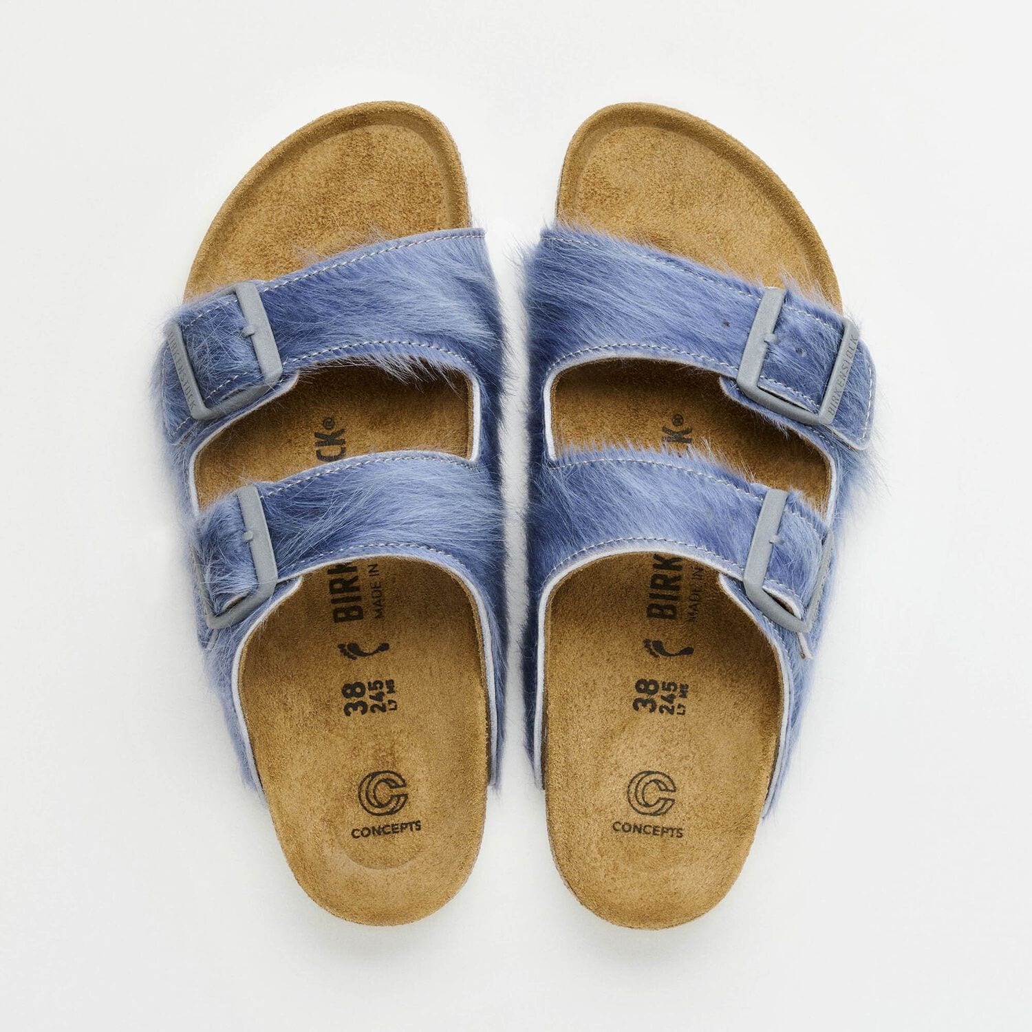 Concepts Arizona Fur