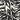 Couleur: Black/Gray