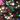 Colore: Cosmic Sparkle Black Multi