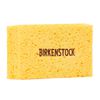 Footbed and Shoe Cleaner with Sponge