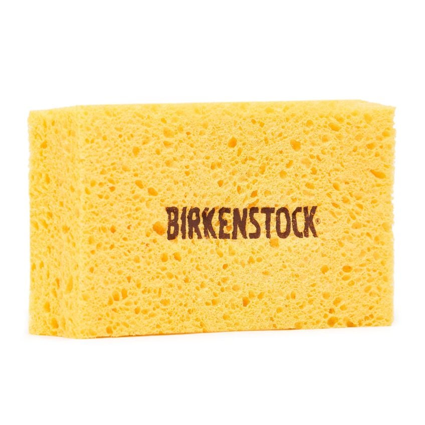 Footbed and Shoe Cleaner with Sponge