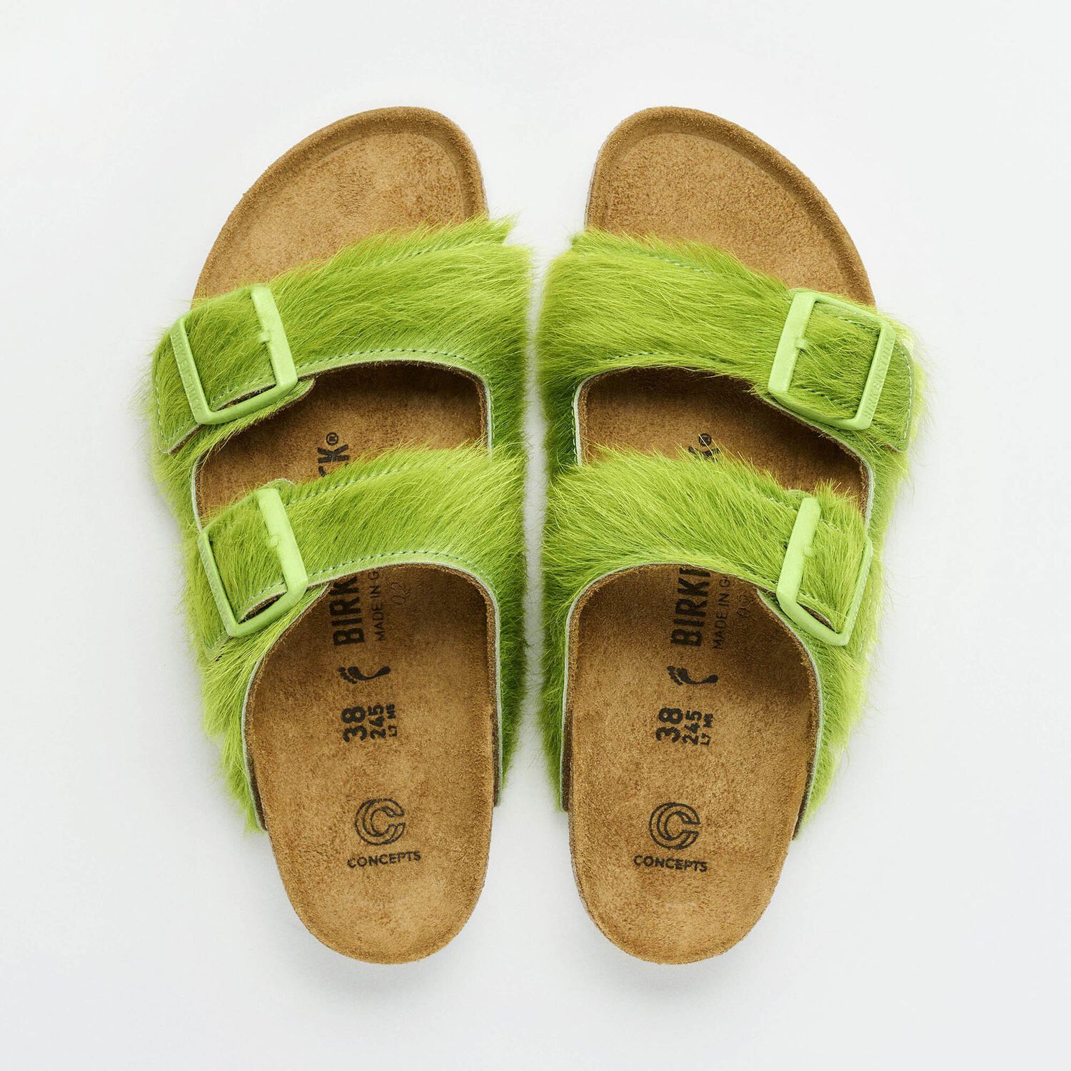 Concepts Arizona Fur