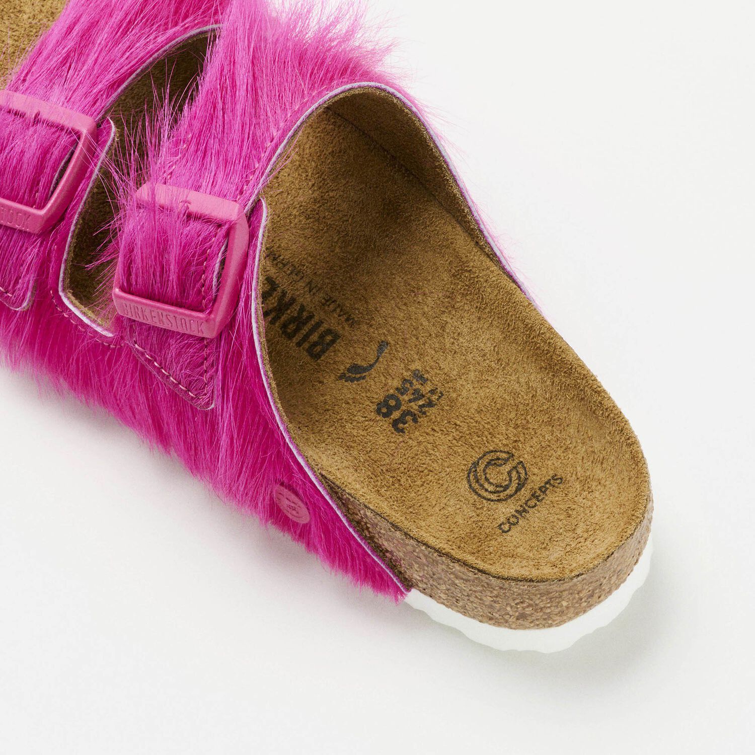 Concepts Arizona Fur(animals)