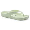 Honolulu EVA Faded Lime