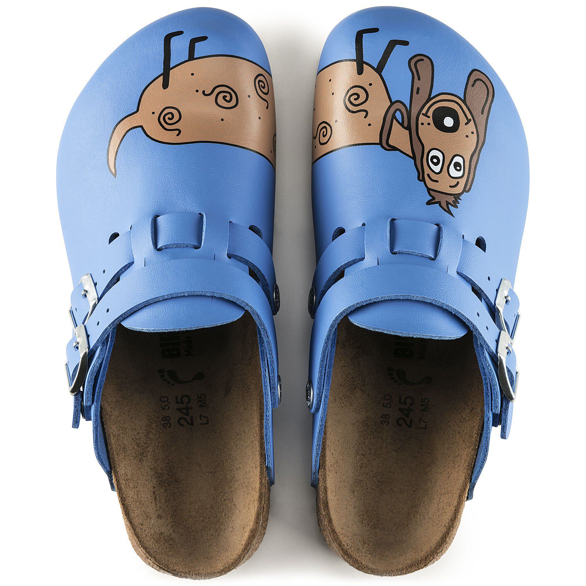 Kay/ケイ ビルコフロー ドッグブルー バックグラウンド | BIRKENSTOCK