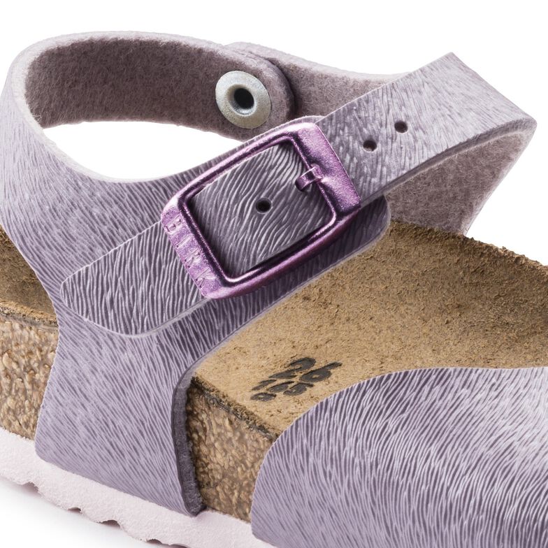 Anguilla Birko-Flor Animal Fascination Purple Anguilla Birko-Flor Animal Fascination Purple