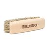 Polishing Brush
