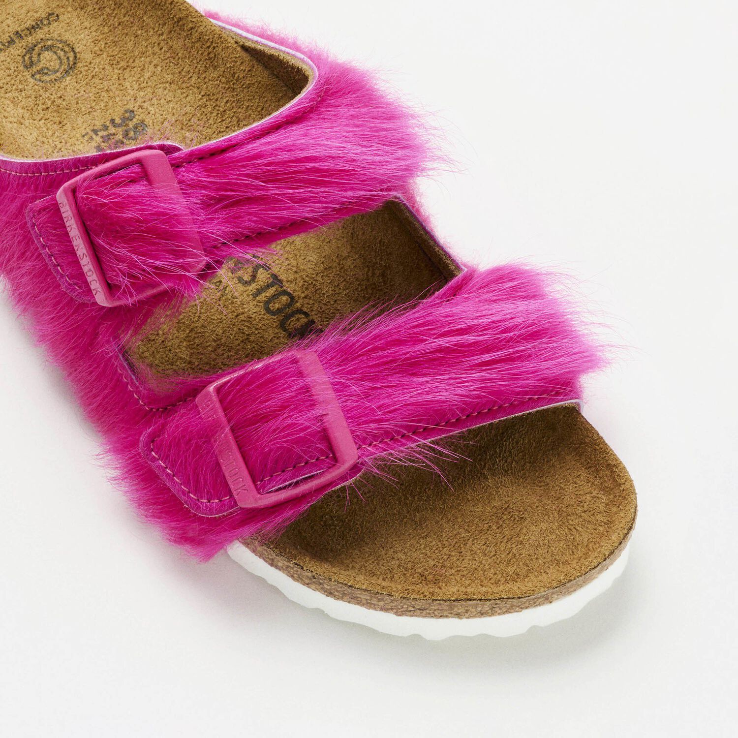 Concepts Arizona Fur(animals)