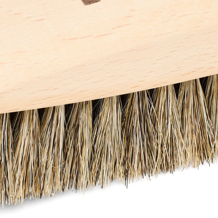 Polishing Brush