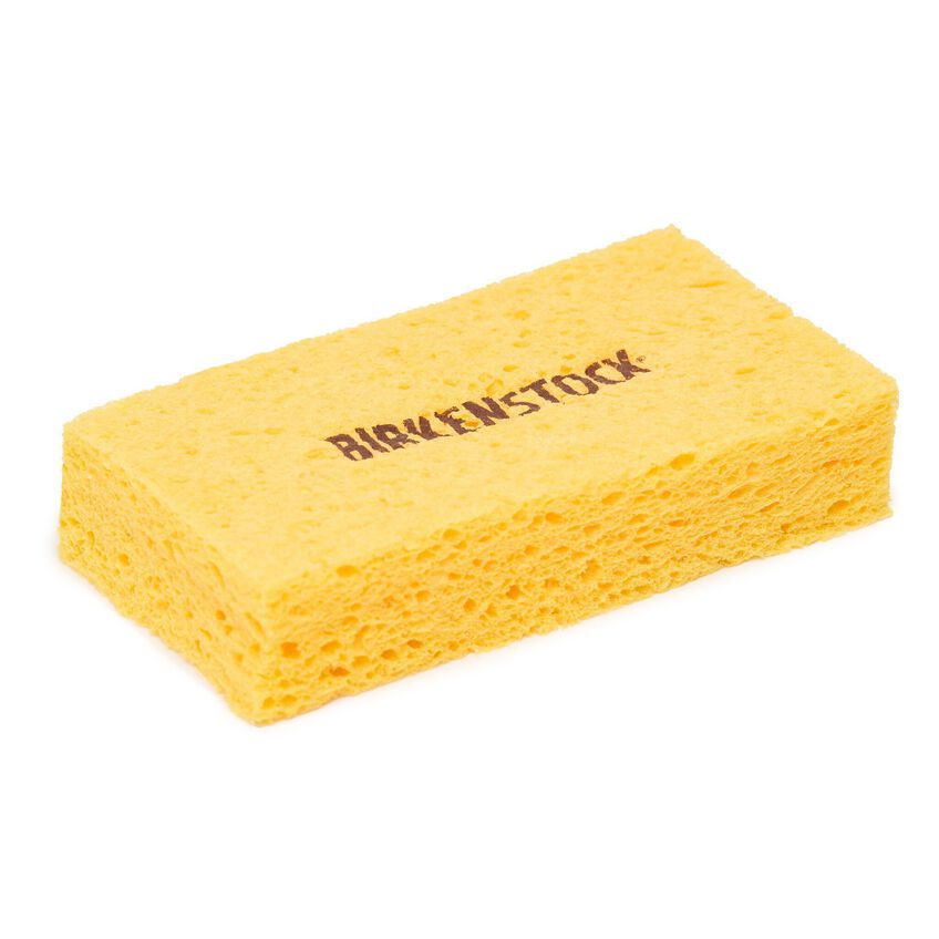 Footbed and Shoe Cleaner with Sponge
