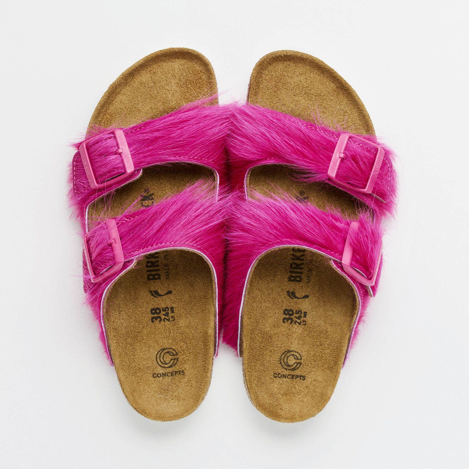 Concepts Arizona Fur