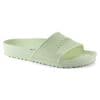 Barbados Faded Lime
