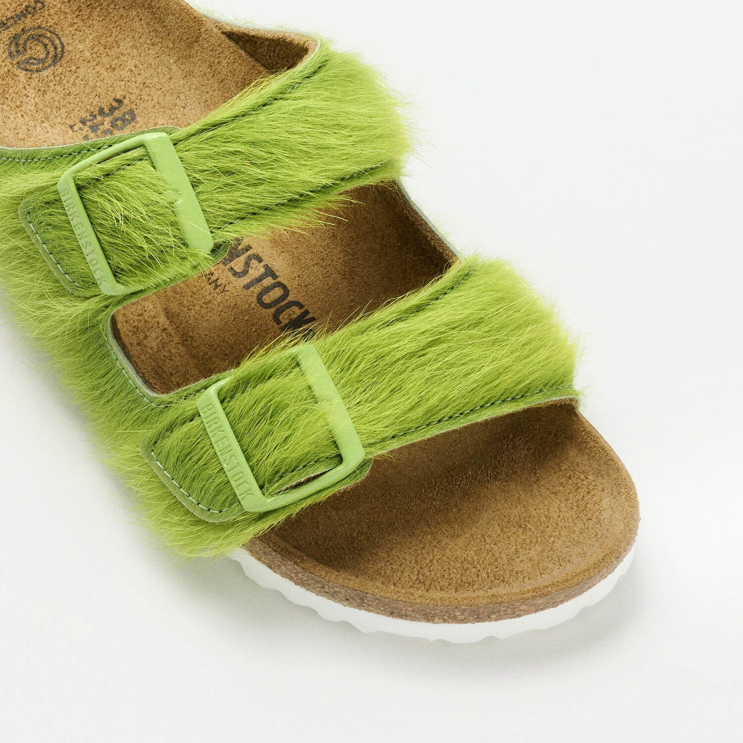 Concepts Arizona Fur(animals)