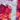 Color: Flashy Hologram Pink