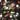 Farbe: Cosmic Sparkle Black Multi