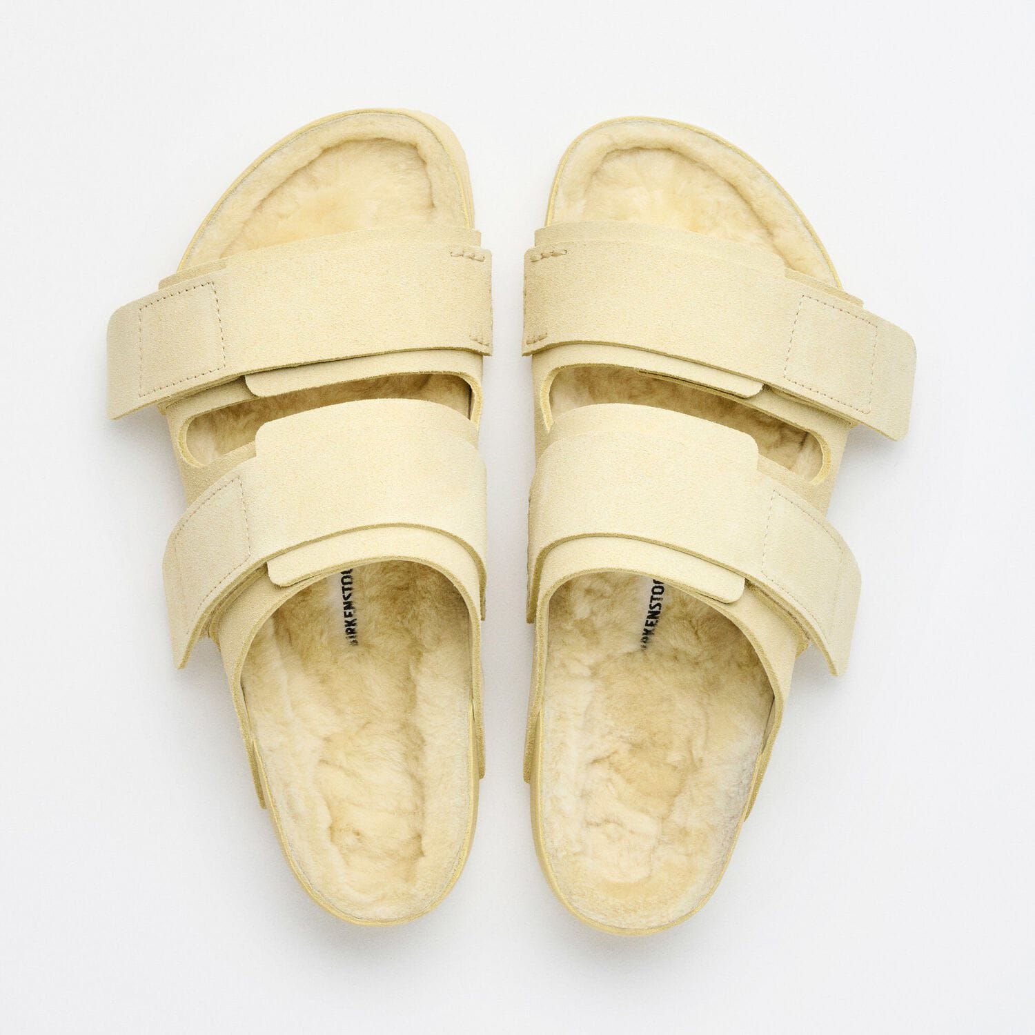 Uji Suede Tekla
