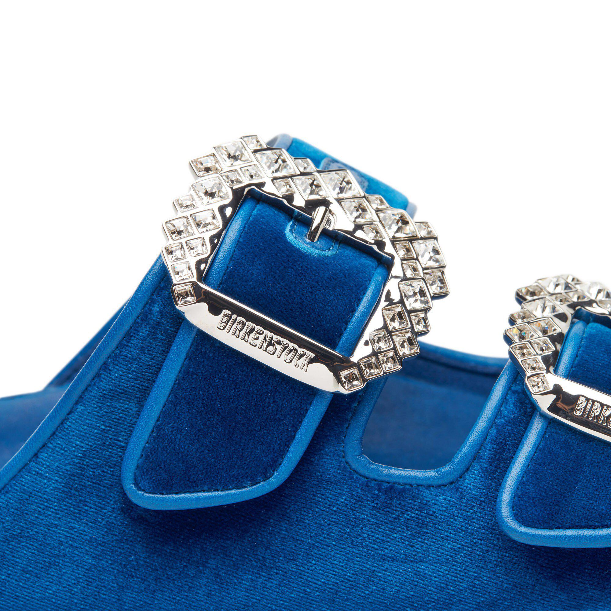 Manolo Blahnik Arizona Velvet Crystal Buckle Velvet Velvet Blue