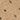Color: Dotted New Beige