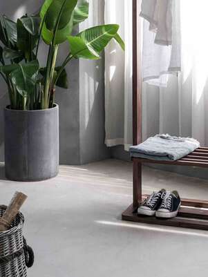 Corner of loft designed home, with a plant on background and clothes rack in front.