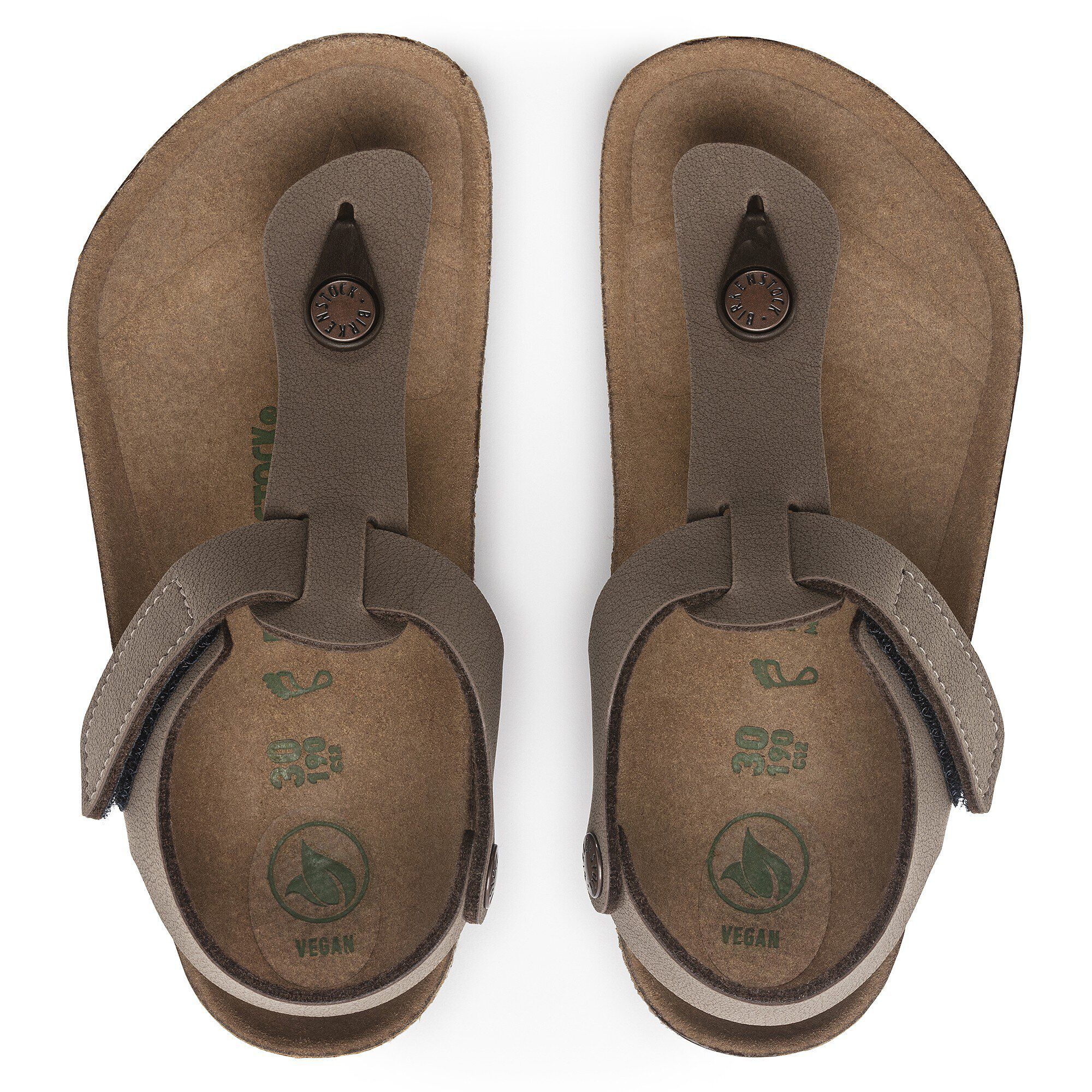 كايرو إتش إل للأطفال بيركوفلور نوبوك