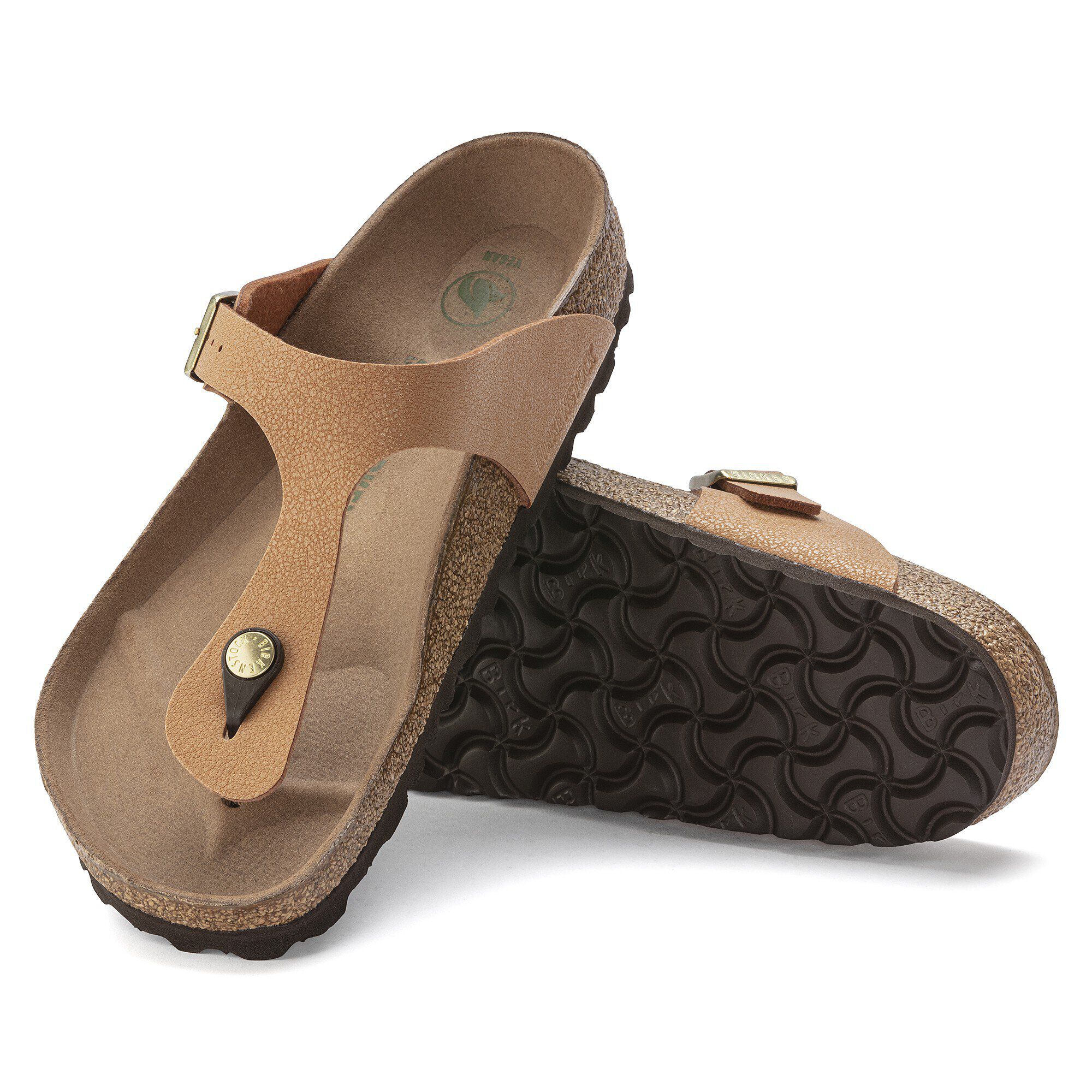 جيزة نباتي بيركوفلور نوبوك