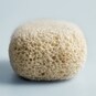 product photo 4 of {2}