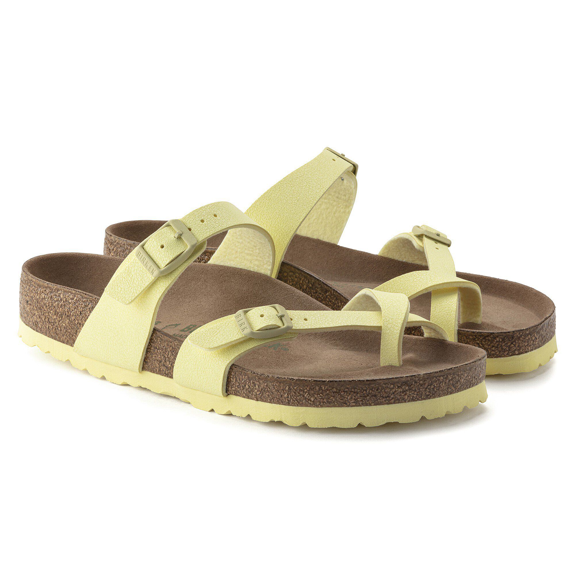 ماياري نباتي بيركوفلور نوبوك