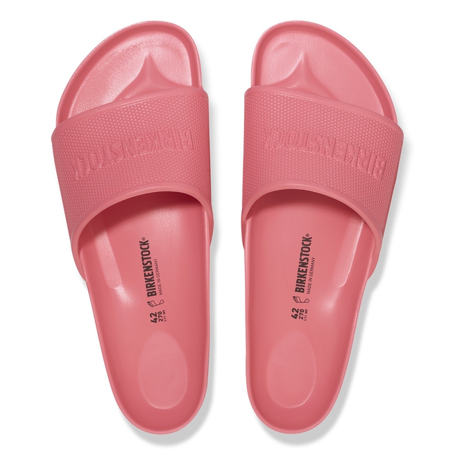 باربادوس أسيتات إيثيلين-فاينيل ايفي