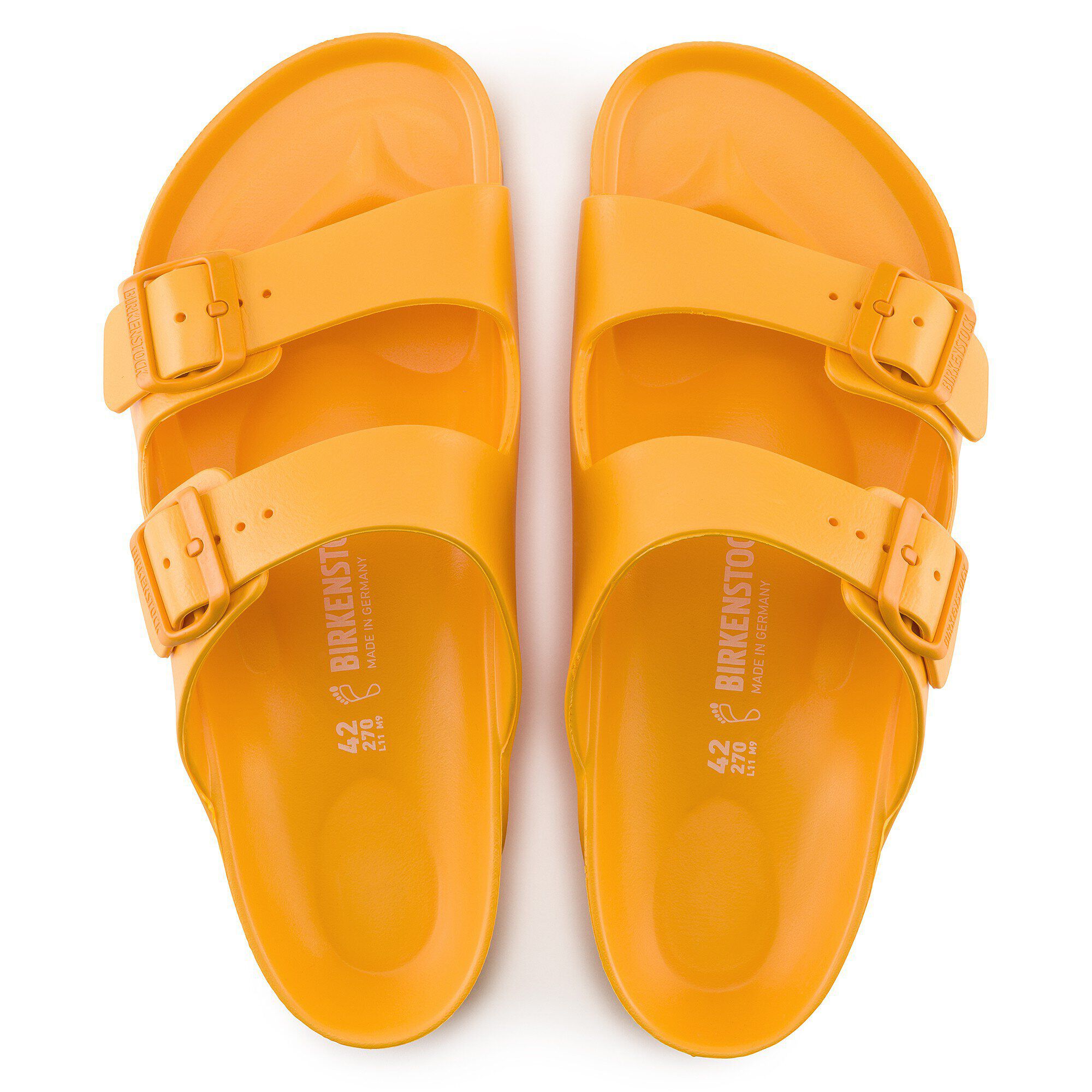 Arizona EVA - a top view