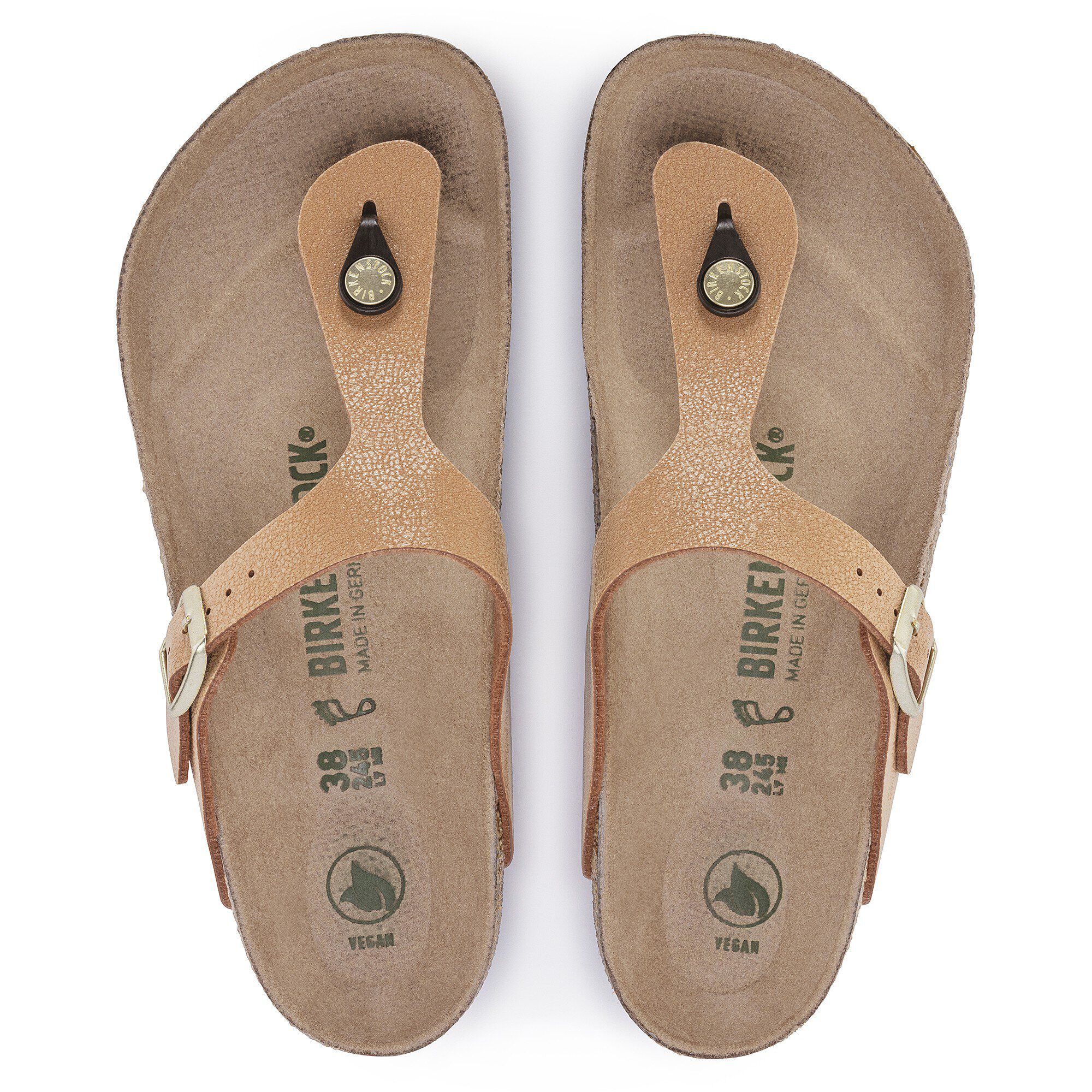 جيزة نباتي بيركوفلور نوبوك