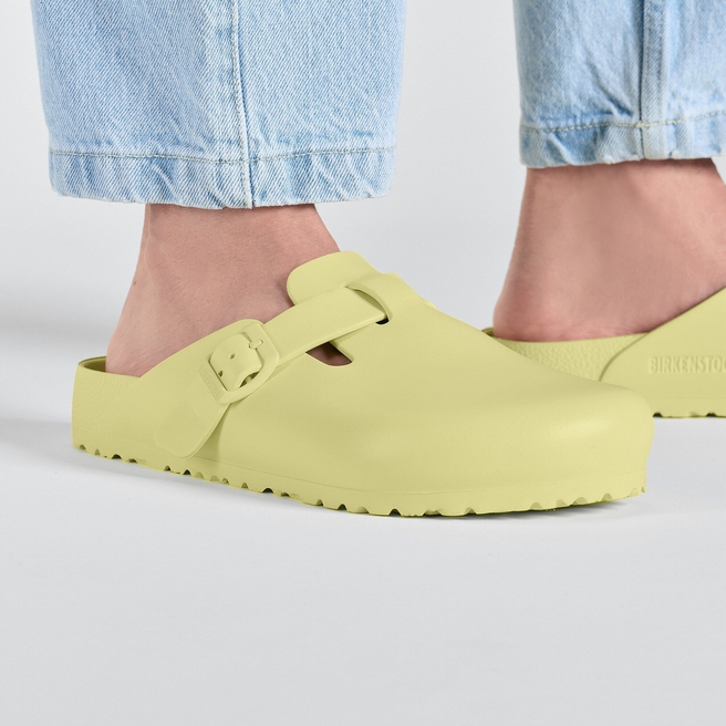 بوسطن إسنشالز ايفي