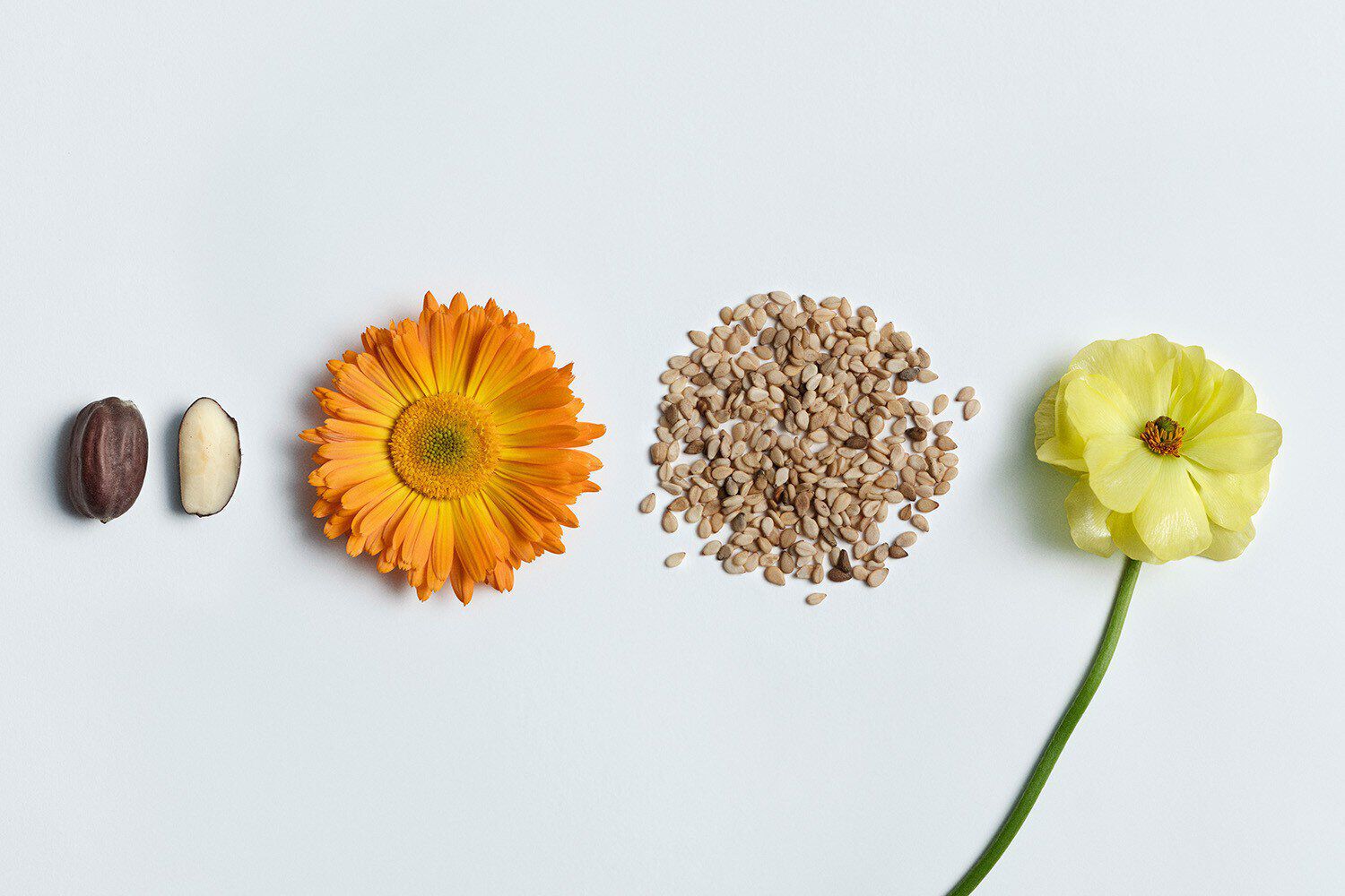   with ingredients details
