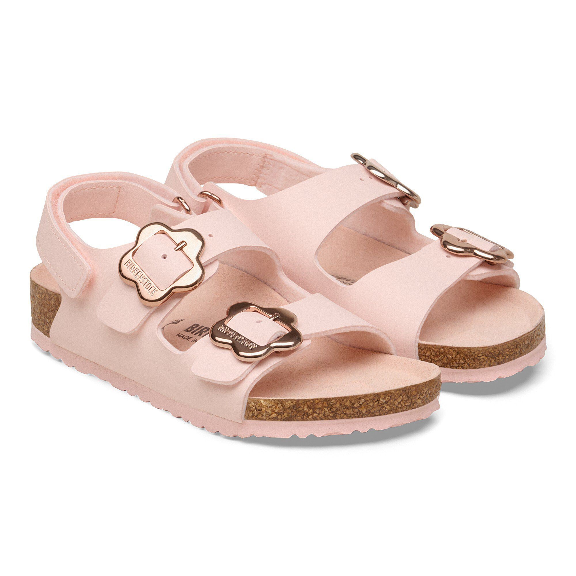   - shown as a pair