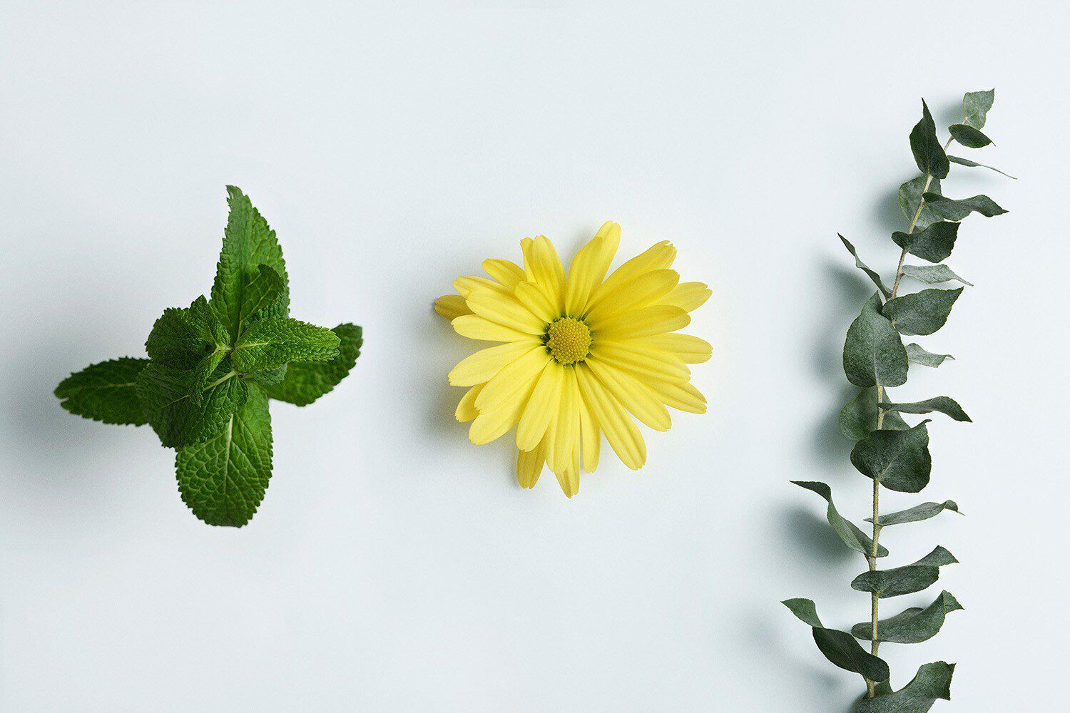 リリーフローション 75 ml