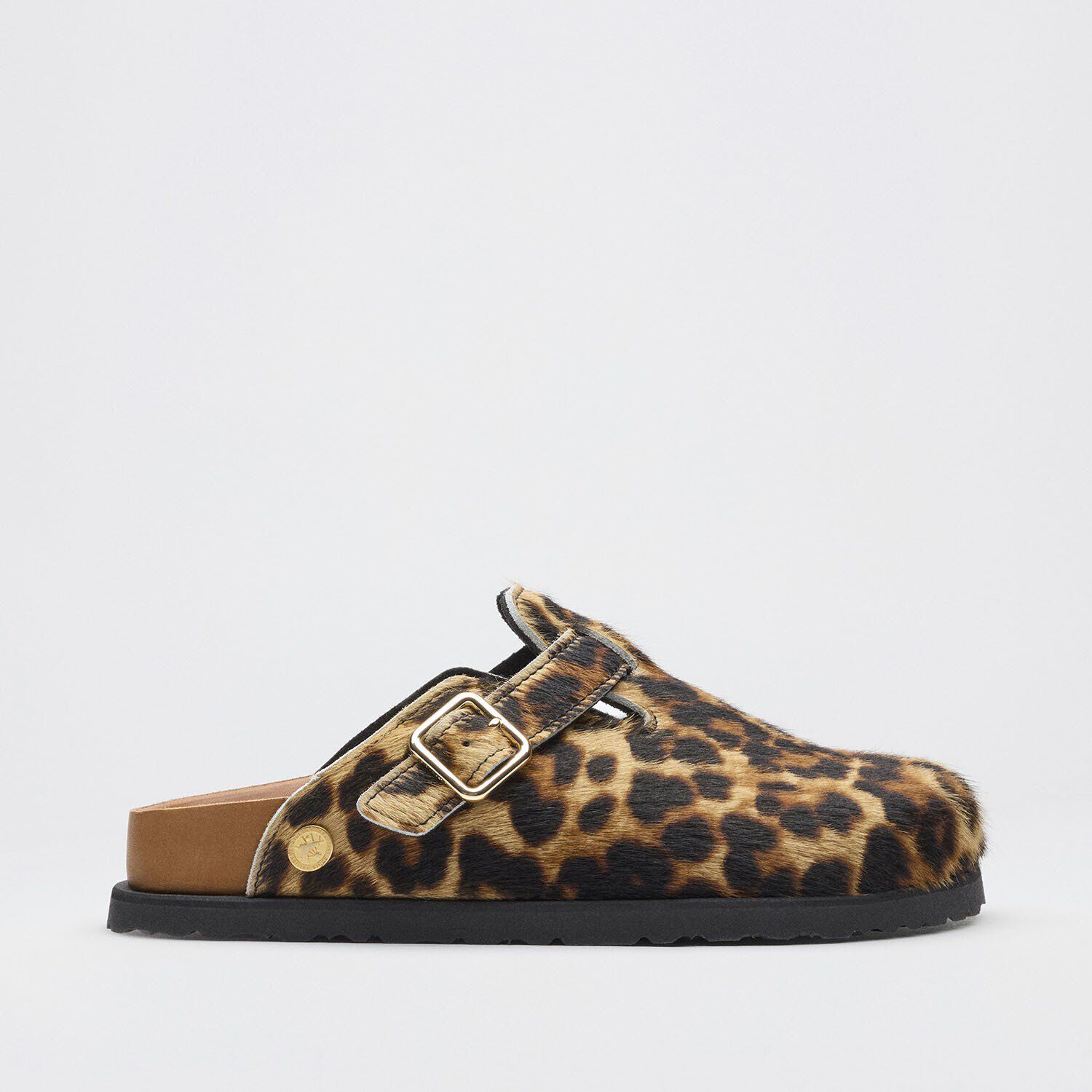 1774 Boston Leder - a side view