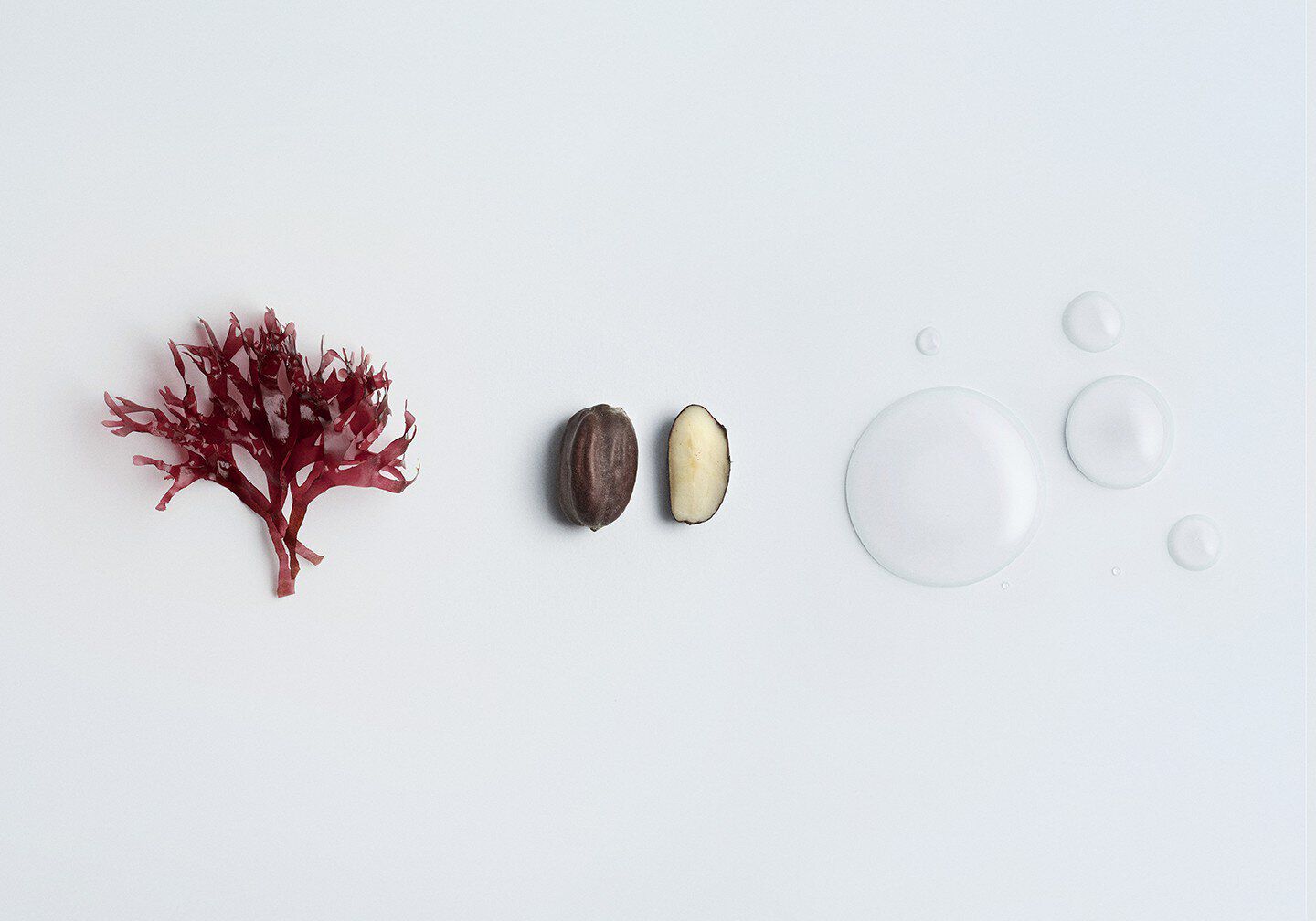   with ingredients details