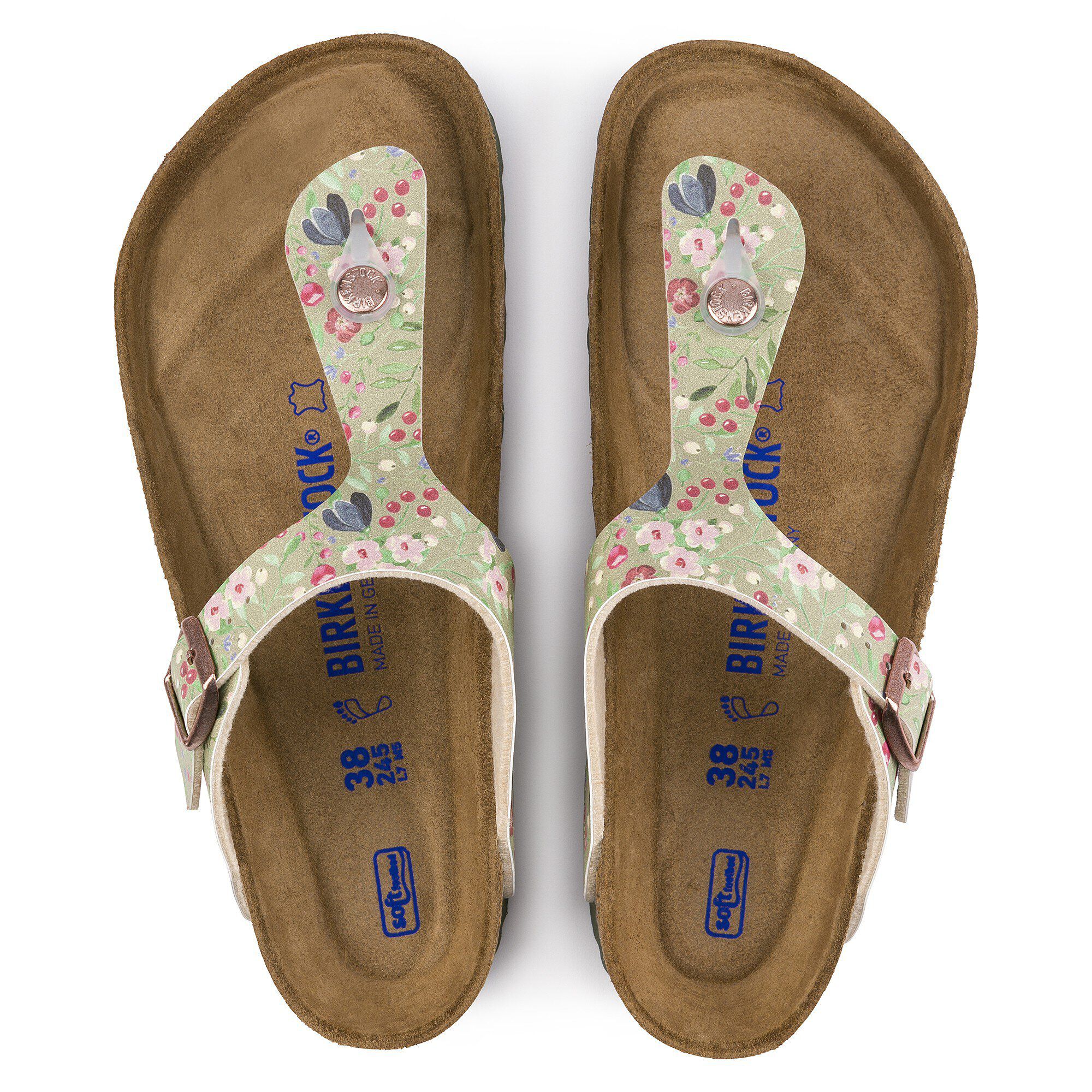 Gizeh  / ギゼ ビルコフロー - a top view