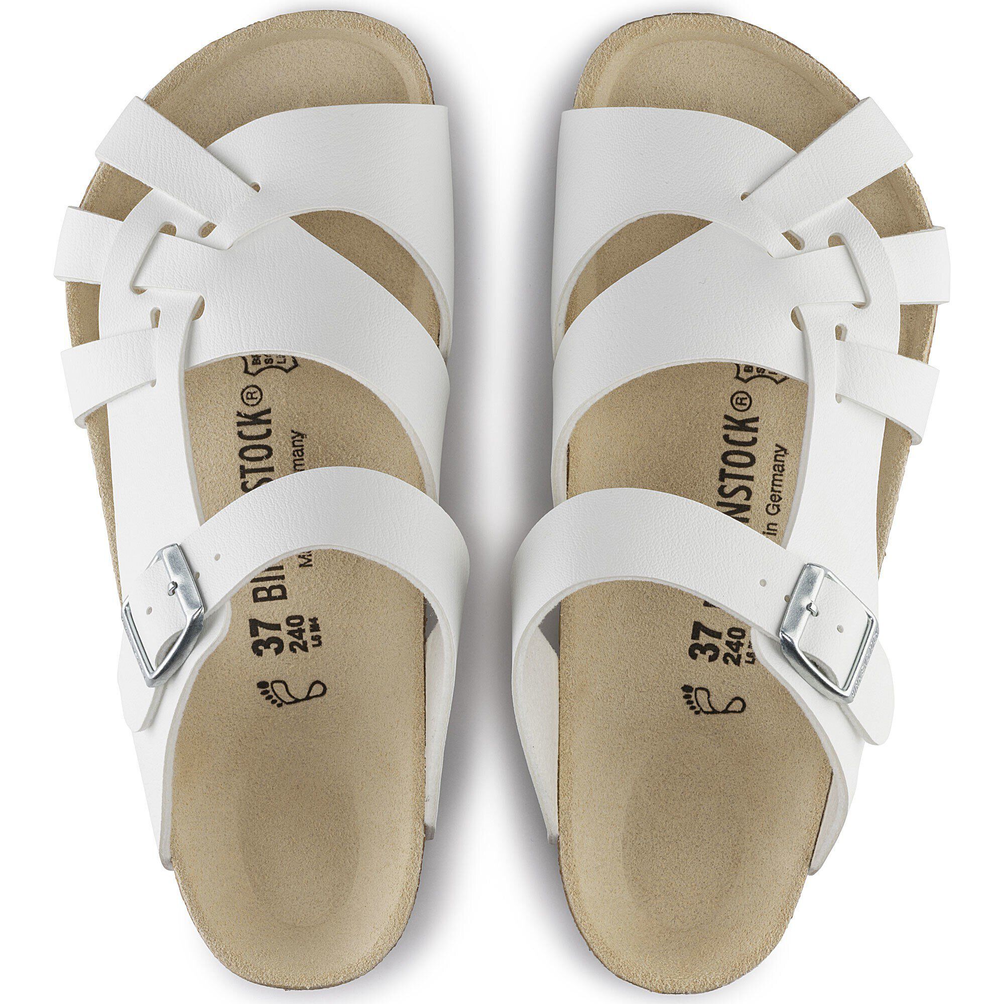 Pisa/ピサ ビルコフロー - a top view