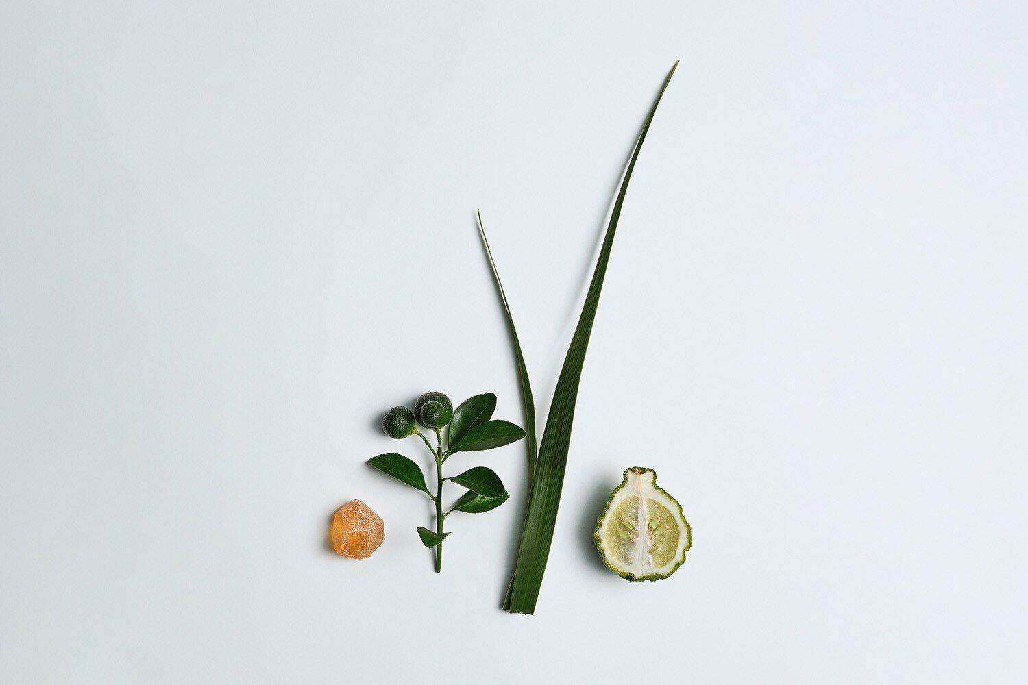   with fragrance details