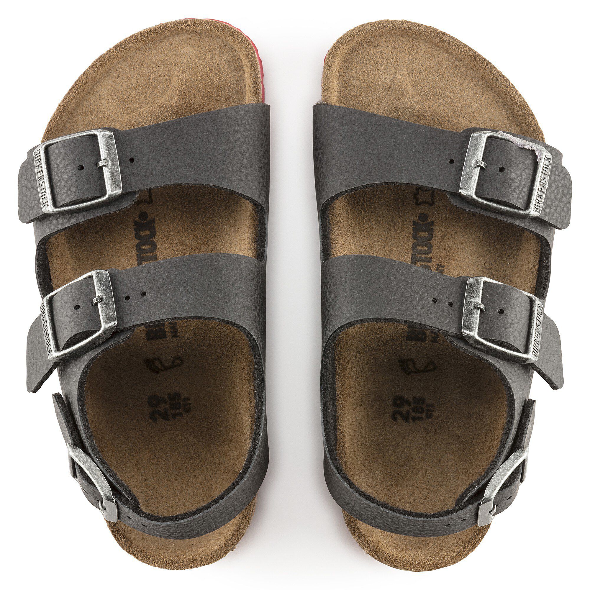 Kids Milano / キッズ ミラノ ビルコフロー - a top view