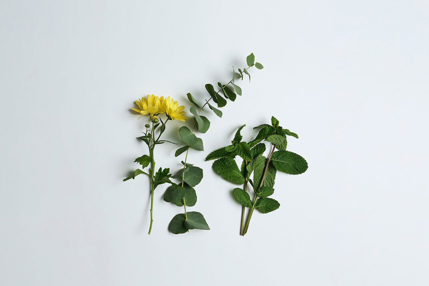 릴리프 레그&풋 로션 75 ml