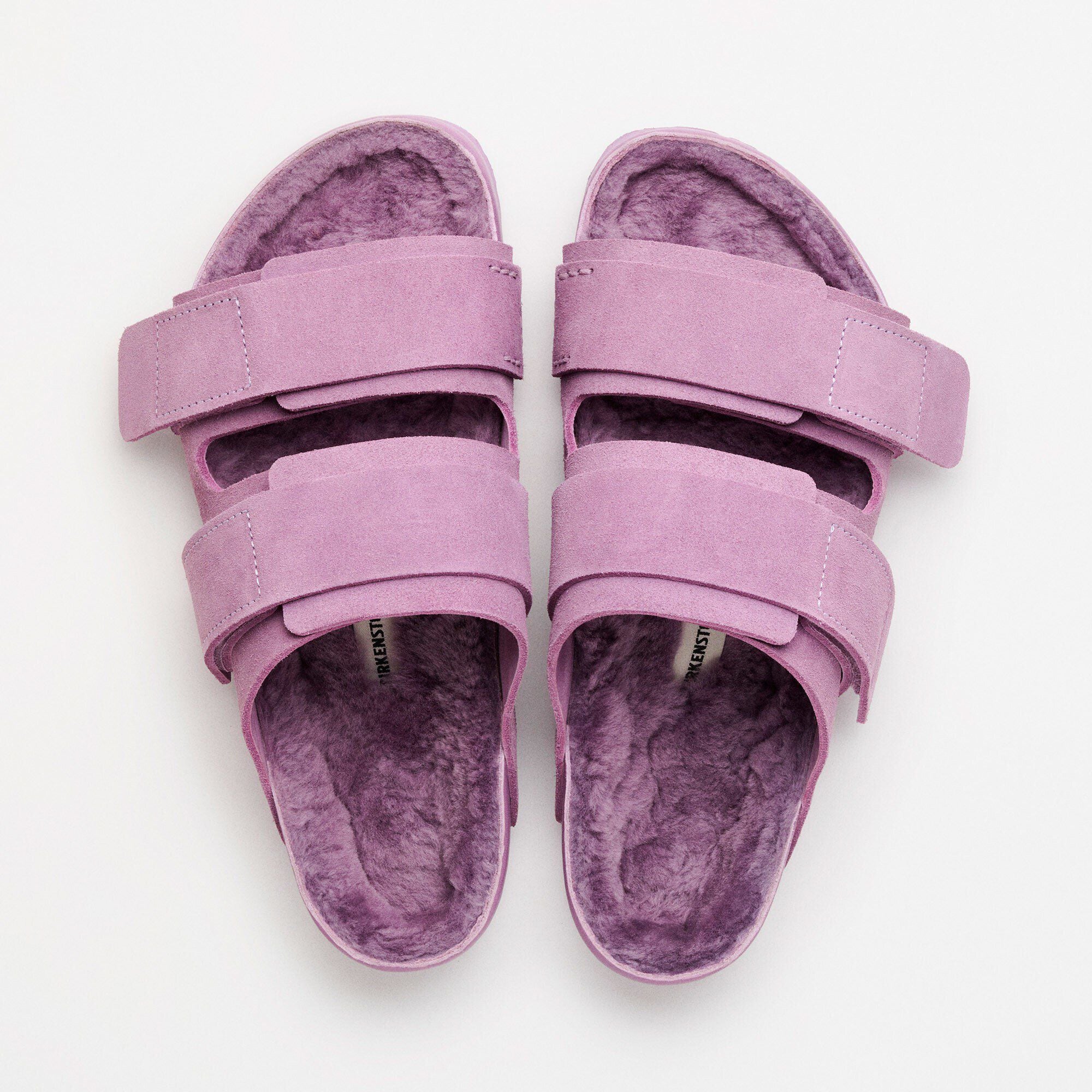 Uji Suede Tekla Suede Leather - main image
