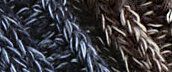   Close-up view showing color detail
