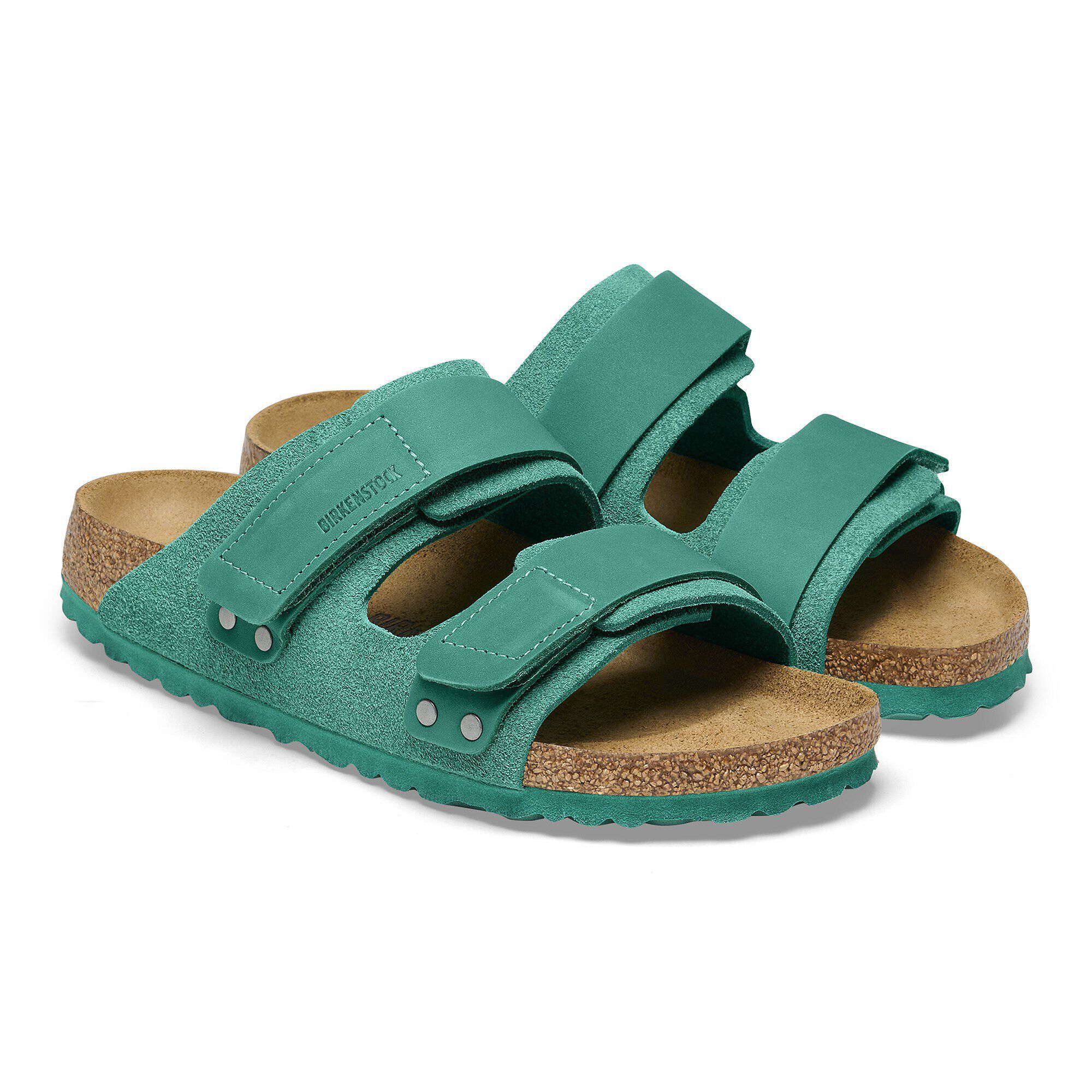   - shown as a pair
