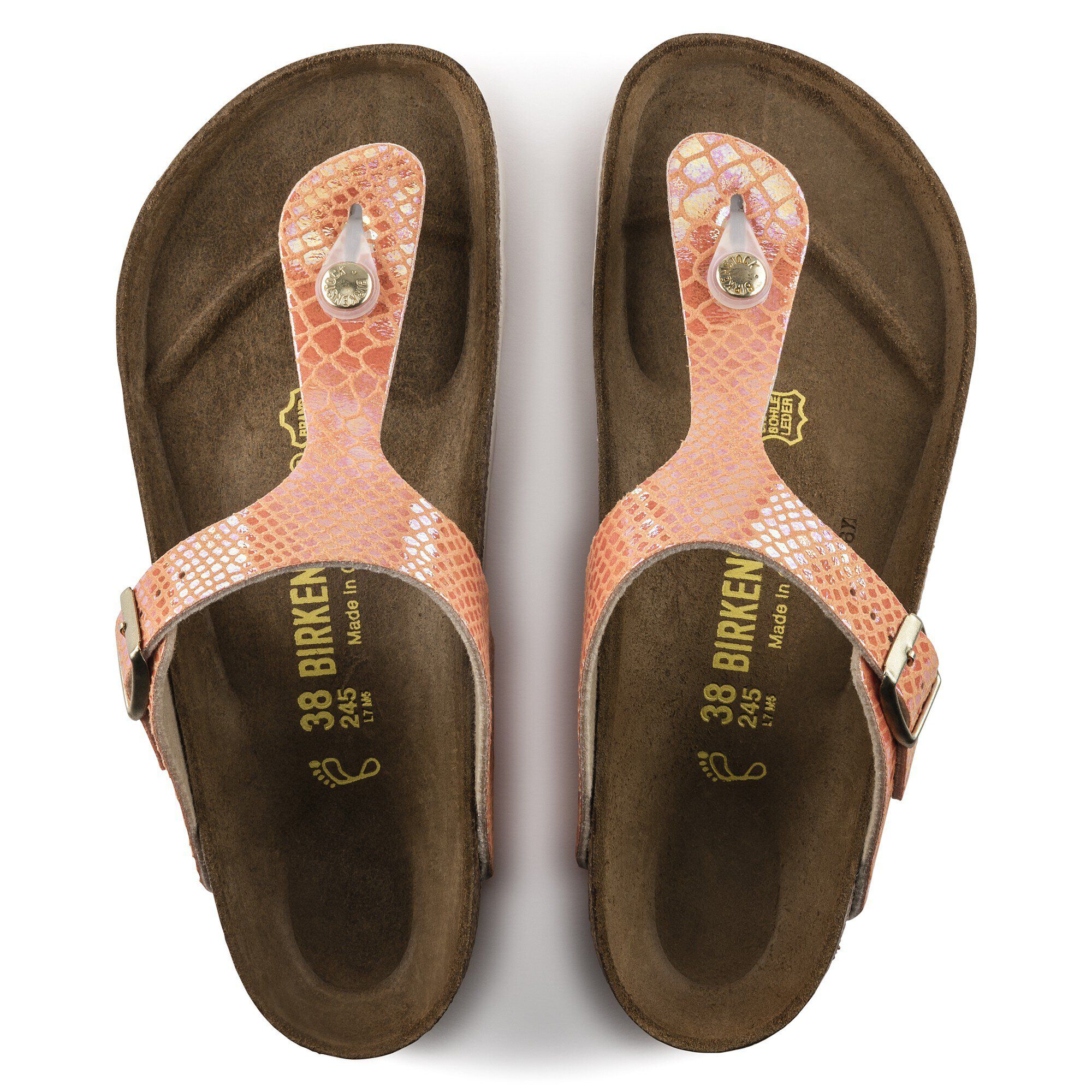 Gizeh Birko-Flor - a top view