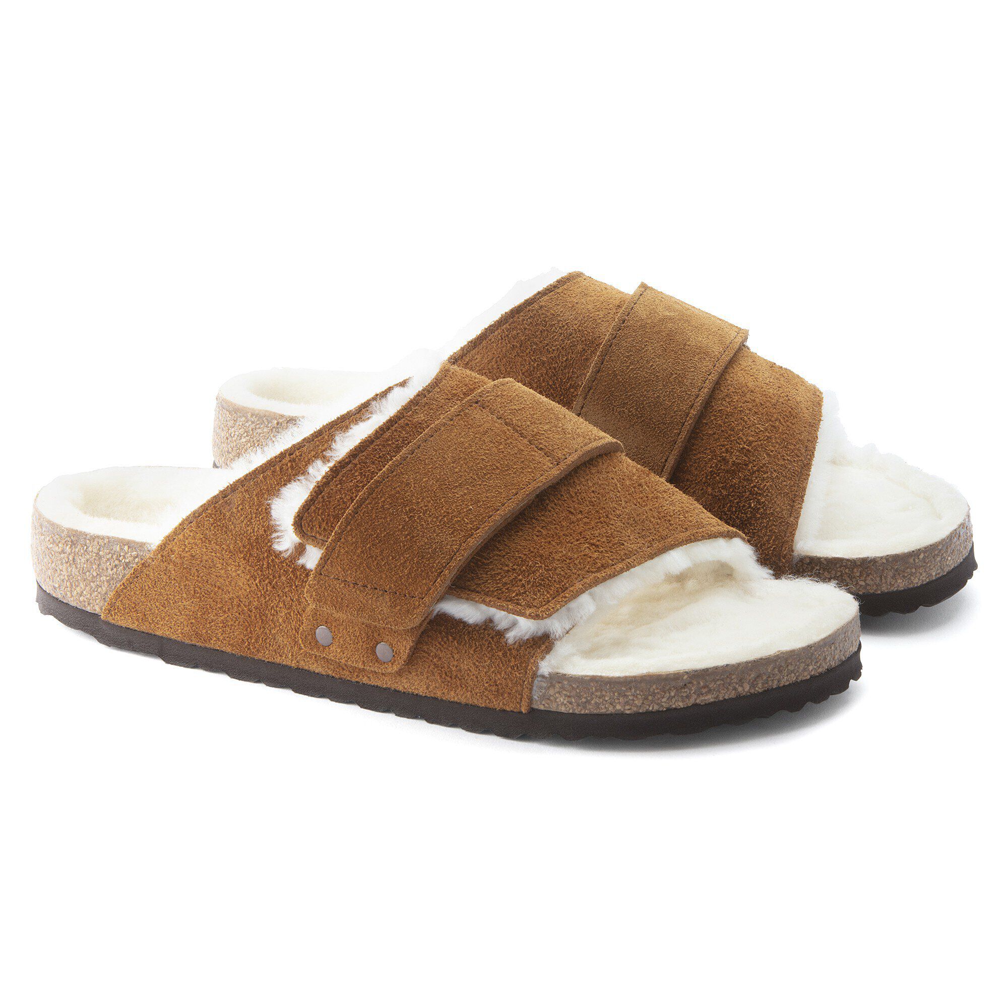   - shown as a pair