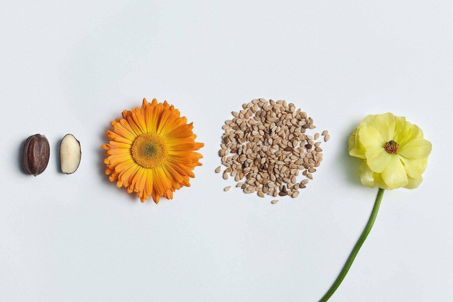   with ingredients details