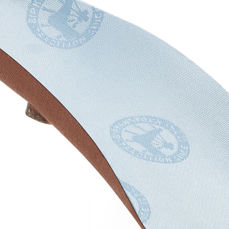 BIRKENSTOCK 250 Anniversary Edition Blue Footbed Soft Footbed detail