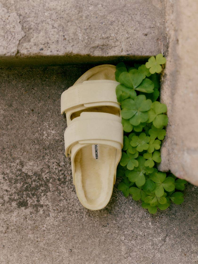 Tekla | shop online at BIRKENSTOCK